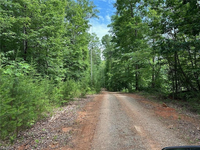 249 Laurel Bluff Trl, Dobson, NC 27017