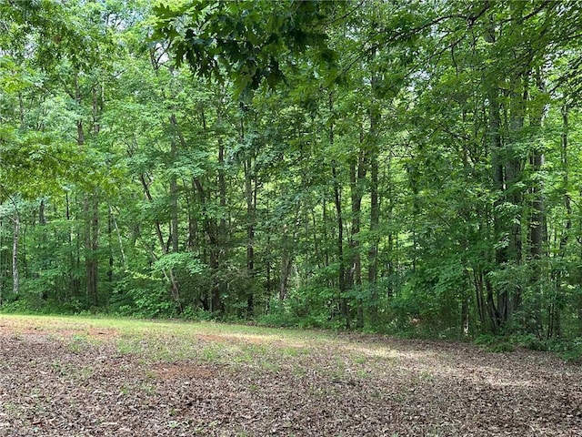 249 Laurel Bluff Trl, Dobson, NC 27017
