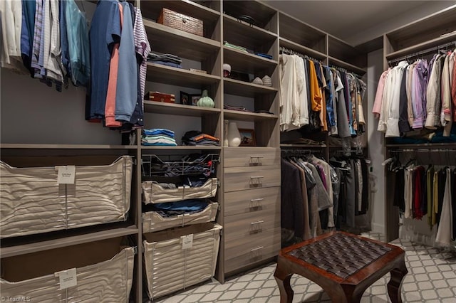 view of spacious closet