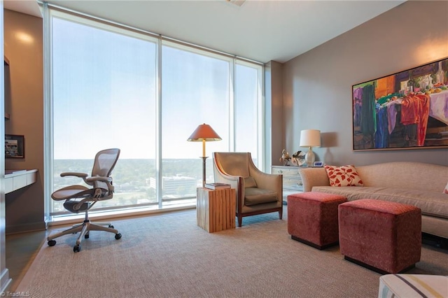 interior space with light carpet, plenty of natural light, and expansive windows