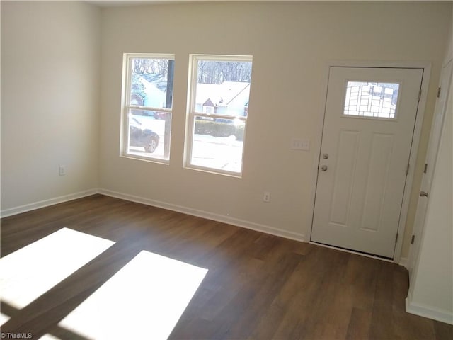 entryway featuring dark wood-type flooring