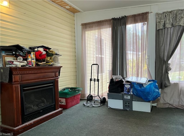 interior space with carpet flooring and crown molding