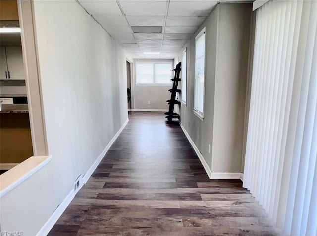 corridor featuring a paneled ceiling and dark hardwood / wood-style flooring