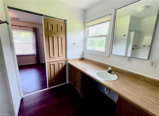 bathroom with vanity, hardwood / wood-style floors, and a healthy amount of sunlight