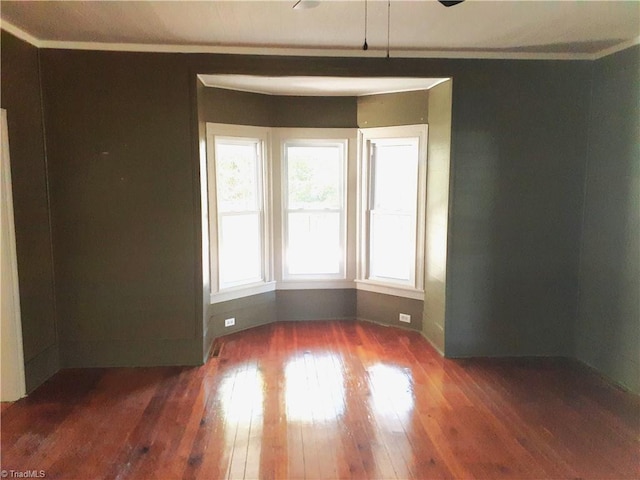 unfurnished room featuring crown molding and dark wood-type flooring