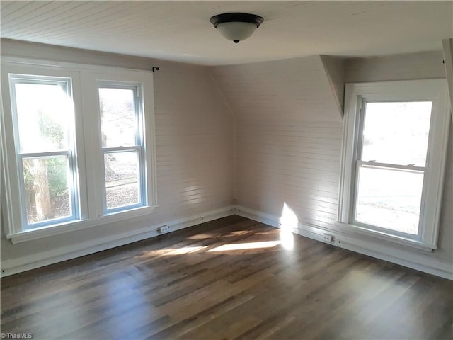 additional living space with dark hardwood / wood-style floors and lofted ceiling