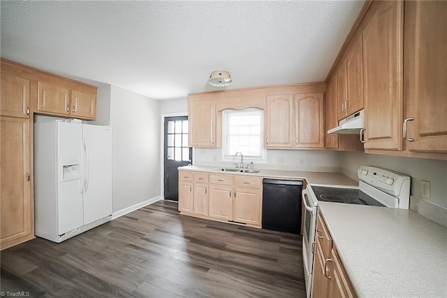 kitchen with light brown cabinets, white appliances, dark hardwood / wood-style floors, and sink