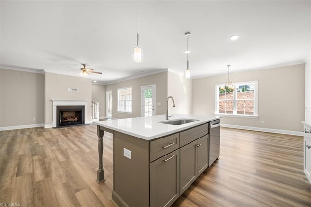 6969 Orchard Path Dr, Clemmons, NC 27012 - kitchen featuring gray cabinets, a ceiling fan, plenty of natural light, ornamental molding, and light wood-style flooring