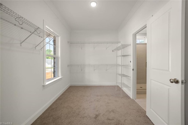 6969 Orchard Path Dr, Clemmons, NC 27012 - spacious closet with carpet flooring