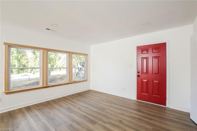 spare room with a wealth of natural light and wood-type flooring