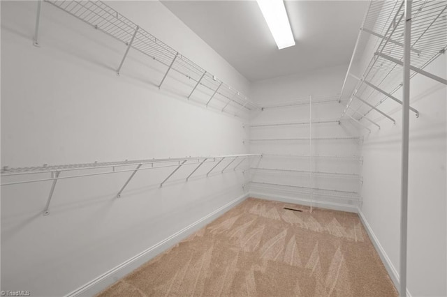 spacious closet featuring light colored carpet