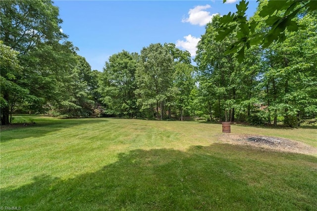 view of green lawn