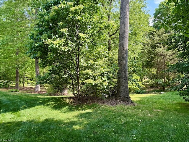 view of green lawn with a view of trees