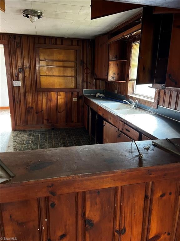 kitchen featuring wood walls and sink