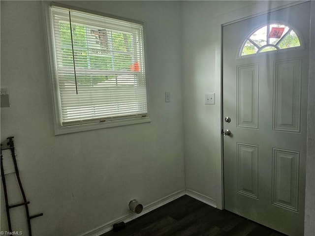 foyer entrance featuring dark hardwood / wood-style flooring