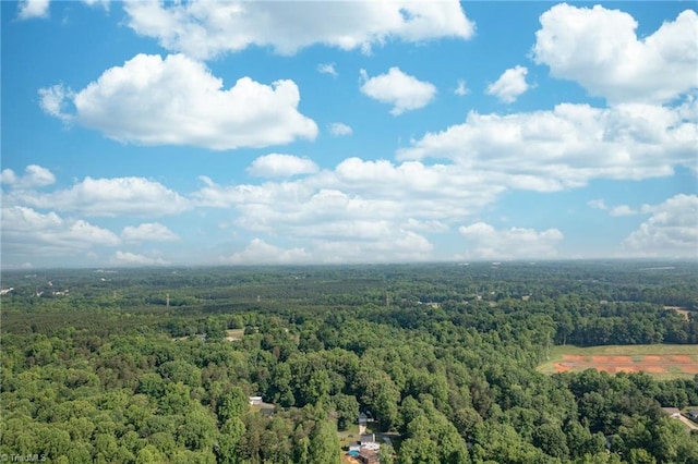 385 Apache Dr, Winston-Salem, NC 27107 - aerial view of a forest