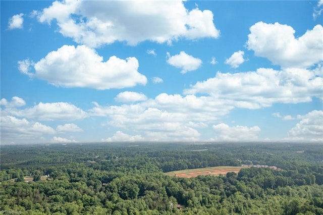 385 Apache Dr, Winston-Salem, NC 27107 - drone / aerial view of a forest