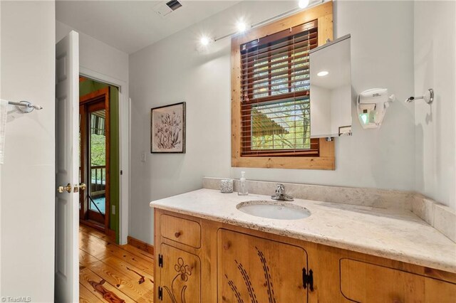 bathroom featuring vanity, a healthy amount of sunlight, and wood-type flooring