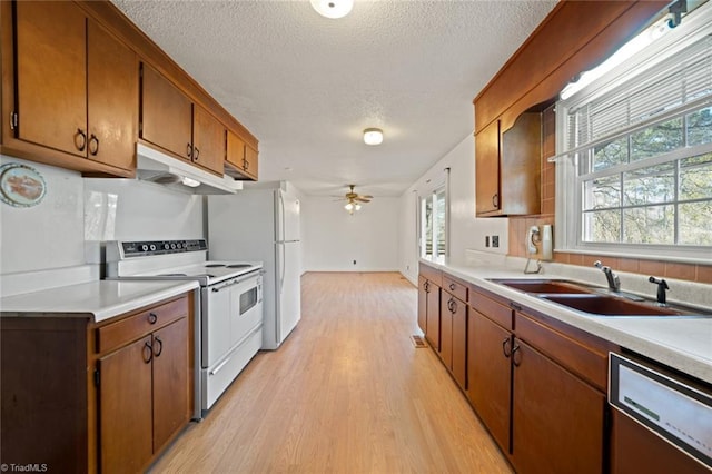 kitchen featuring light wood finished floors, under cabinet range hood, dishwasher, white electric stove, and a sink