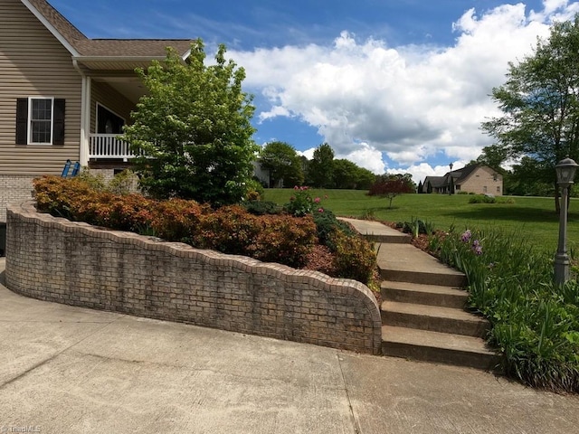 view of green lawn