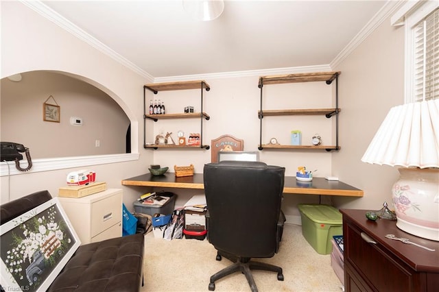 office with crown molding and carpet