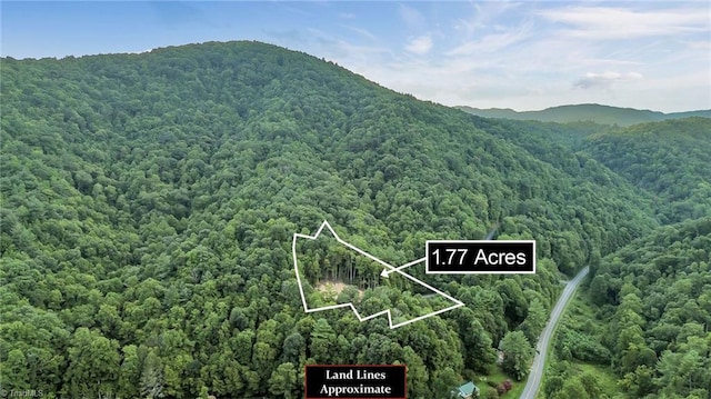 Listing photo 2 for TBD Vacation Way, Millers Creek NC 28651