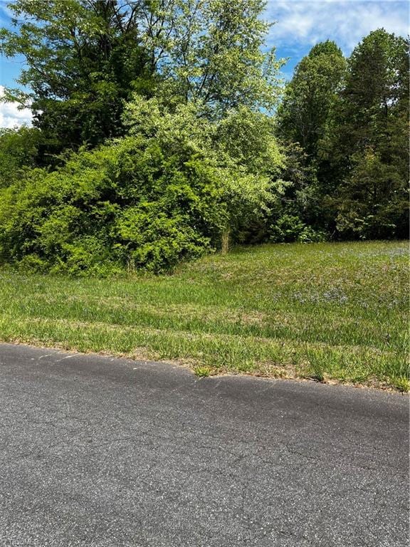 00000 Virgilina Cir, Cana VA, 24317 land for sale