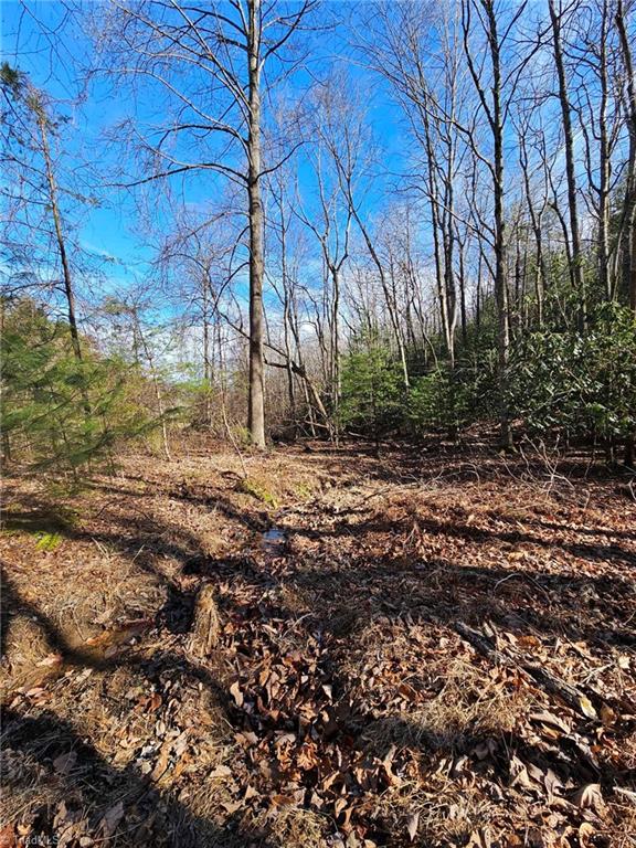 LOT60TBD Jonathan Dr, Lowgap NC, 27024 land for sale