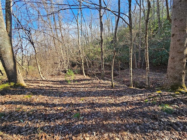 Listing photo 2 for LOT60TBD Jonathan Dr, Lowgap NC 27024