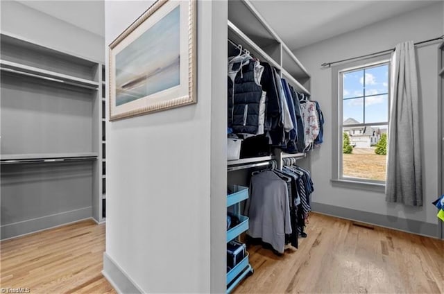 spacious closet with light wood-type flooring