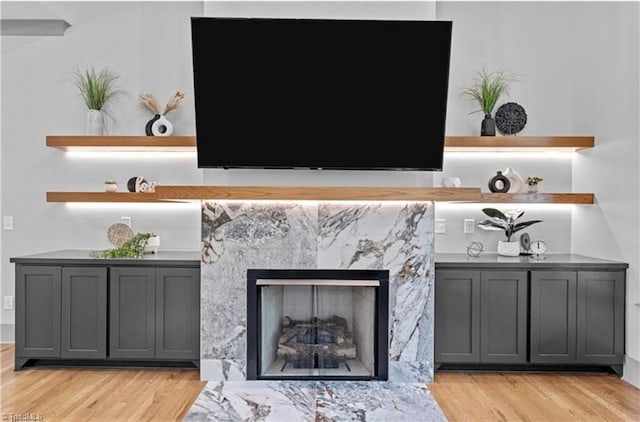 room details featuring wood-type flooring and a high end fireplace