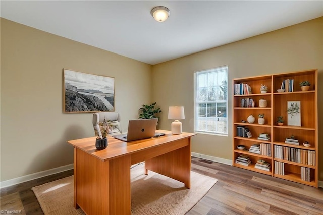 office featuring wood-type flooring