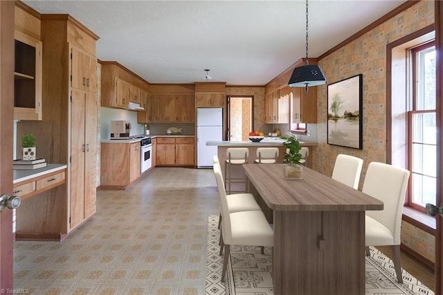 kitchen featuring plenty of natural light, white appliances, decorative light fixtures, and ornamental molding