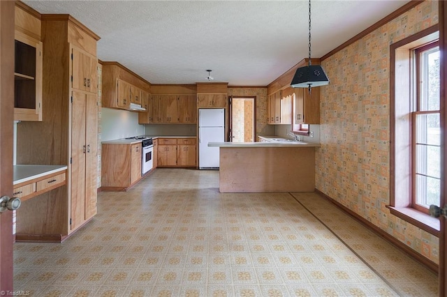 kitchen with crown molding, white appliances, hanging light fixtures, and a wealth of natural light