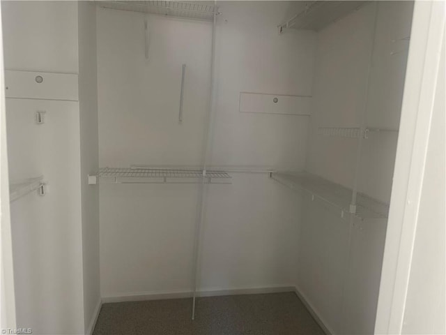 view of walk in closet