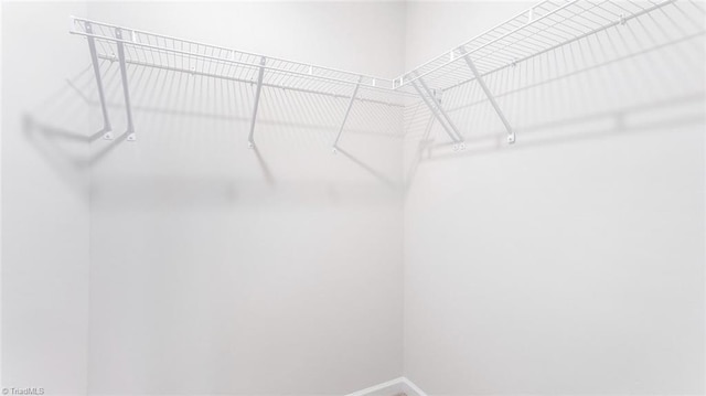 1436 Amberview Ln, Kernersville, NC 27284 - view of walk in closet