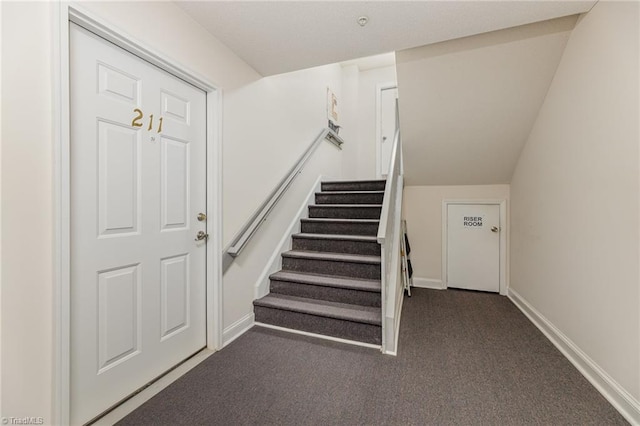 staircase with carpet