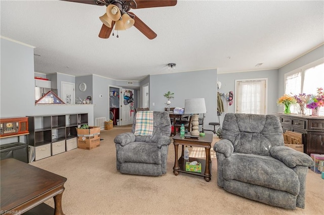 living room featuring ornamental molding, ceiling fan, and carpet