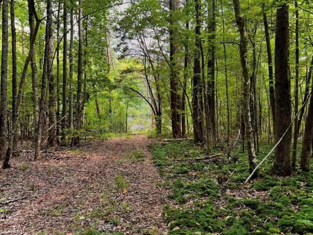 6638 Holts Store Rd, Julian, NC 27283