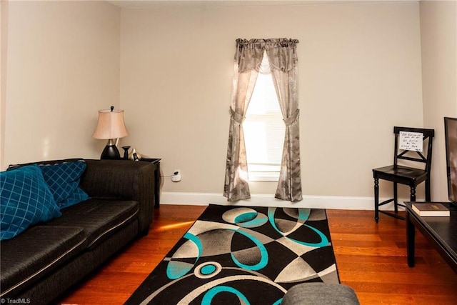 living room featuring dark hardwood / wood-style flooring