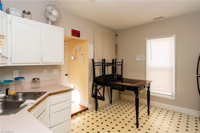 kitchen with white cabinetry and sink