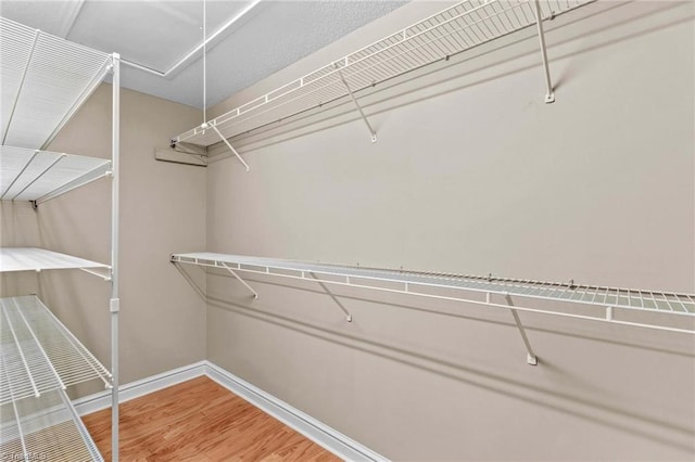 422 Wildwood Dr, Salisbury, NC 28146 - spacious closet featuring attic access and wood finished floors