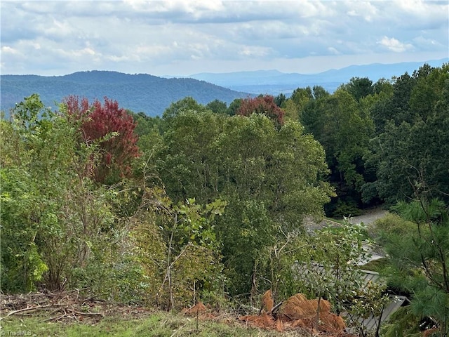 Listing photo 2 for LOT2E Cielo Ridge Way, Purlear NC 28665