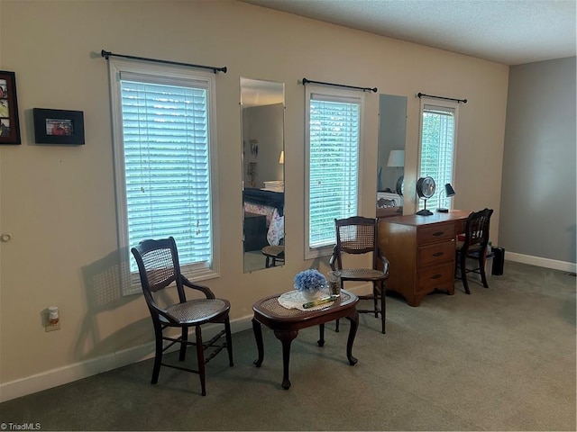 living area featuring light colored carpet