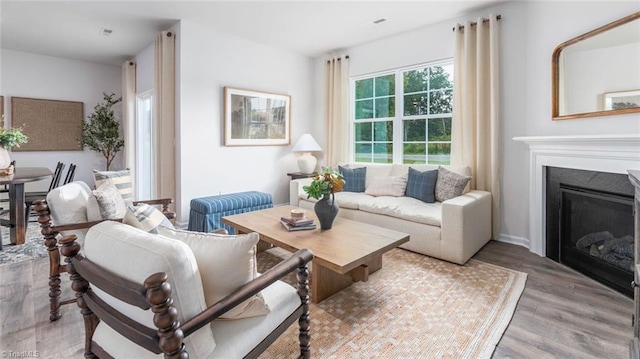 living room with hardwood / wood-style floors