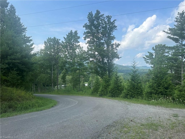 Listing photo 3 for TBD Carson Creek Road, Lowgap NC 27024