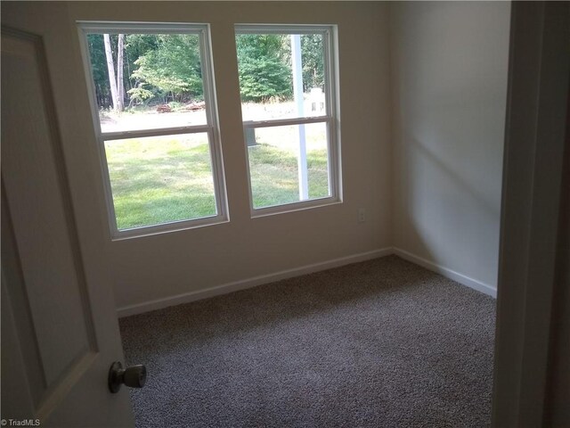 unfurnished room with carpet floors