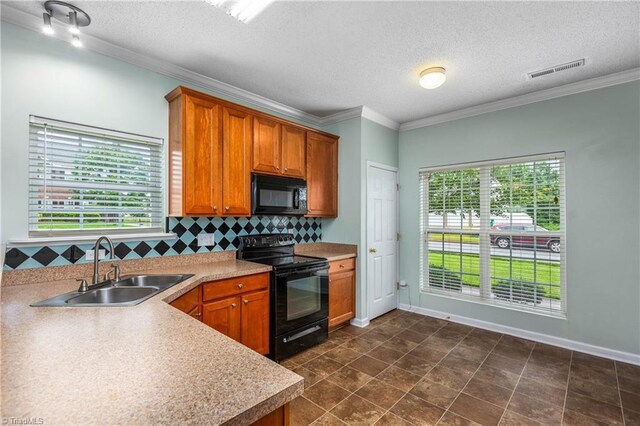 4339 Alderny Pl, High Point, NC 27265 - kitchen featuring black appliances, a sink, plenty of natural light, tasteful backsplash, and crown molding