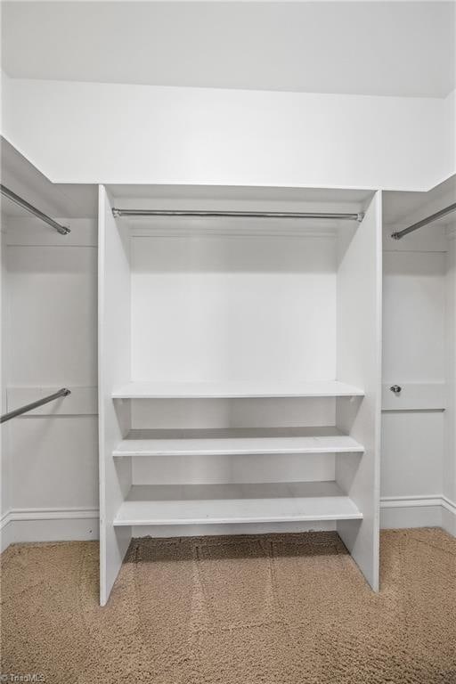 walk in closet with carpet