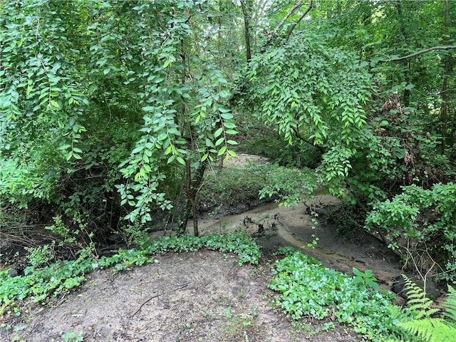 240 Byerly St, Mount Airy, NC 27030 - view of undeveloped land